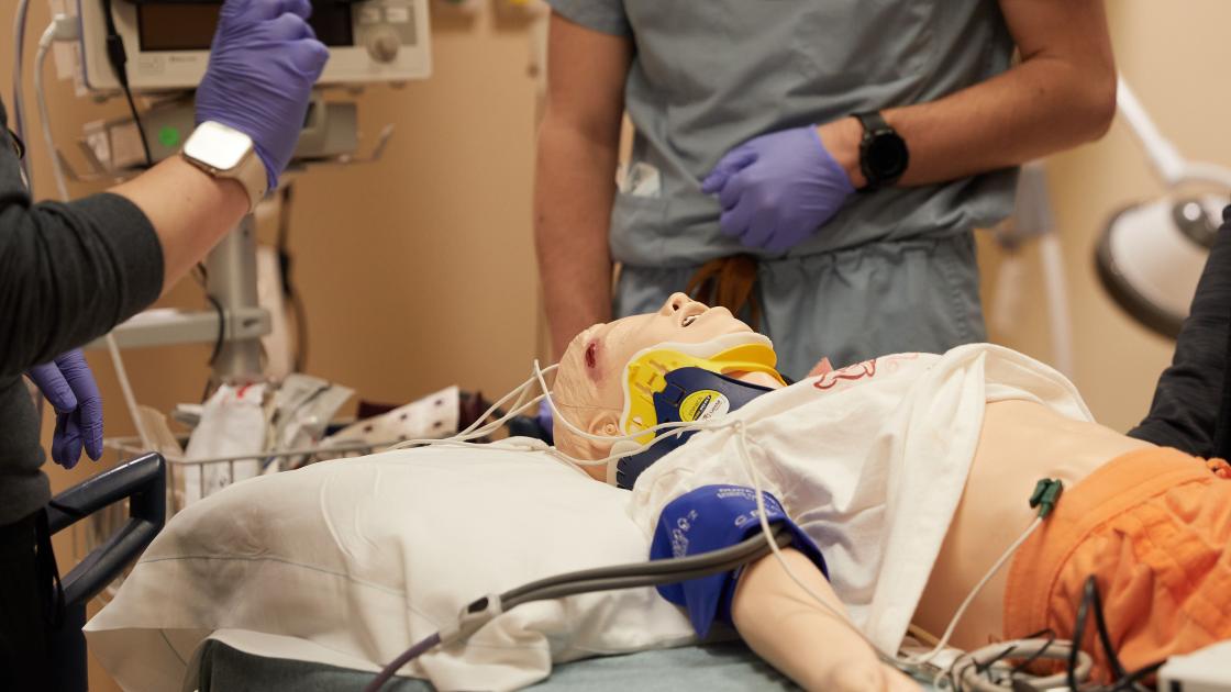 ER simulation